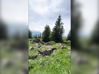 I couldn't resist wanking during a hike.