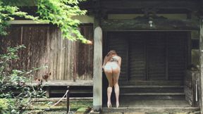 Japanese Old House and Pai-chan