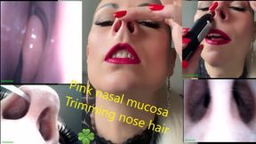 Nose hair cutting, pink nasal mucosa MOV