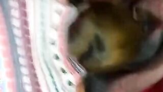 Pawg getting deep BBC back shots