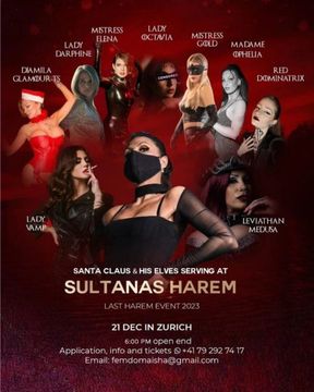 Harem Party 21.12.2023