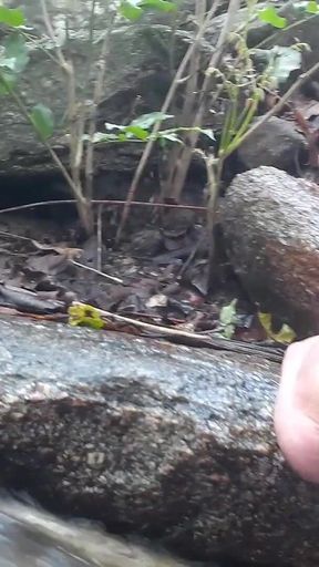 Katia Heffner in the Forest