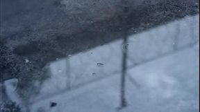 El principe pelicula completa espa&ntilde_ol latino