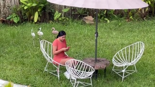 Latin girl  Busted in public doing a xxx vid for her bf
