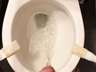 Vigour Pissing in the water closet after 2 beers