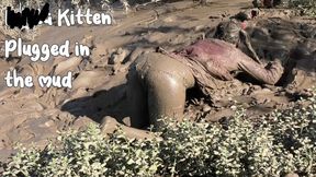 Plugged in the Mud Kitten's Naughty Fun